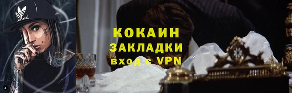 соль ск Михайлов