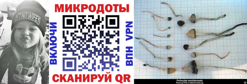 Галлюциногенные грибы ЛСД  Нижняя Тура 